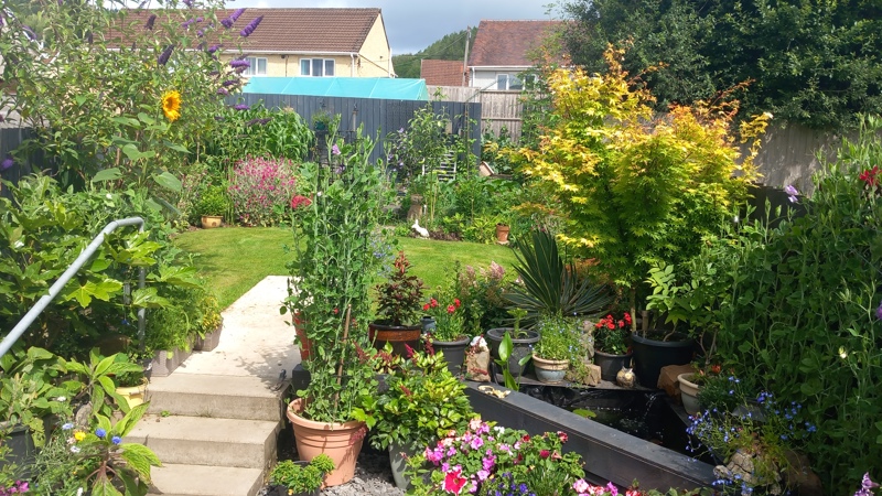 A picture of a garden